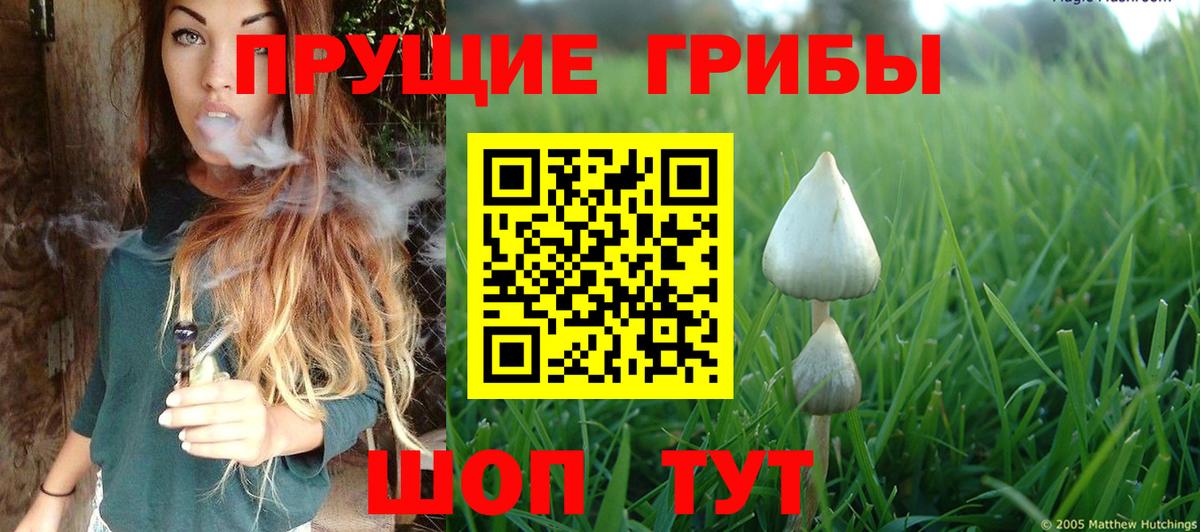 Псилоцибиновые грибы GOLDEN TEACHER Калач-на-Дону